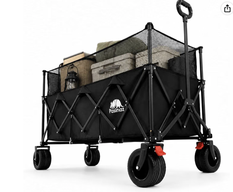 Pasinaz 420 lb Foldable Sports Wagon